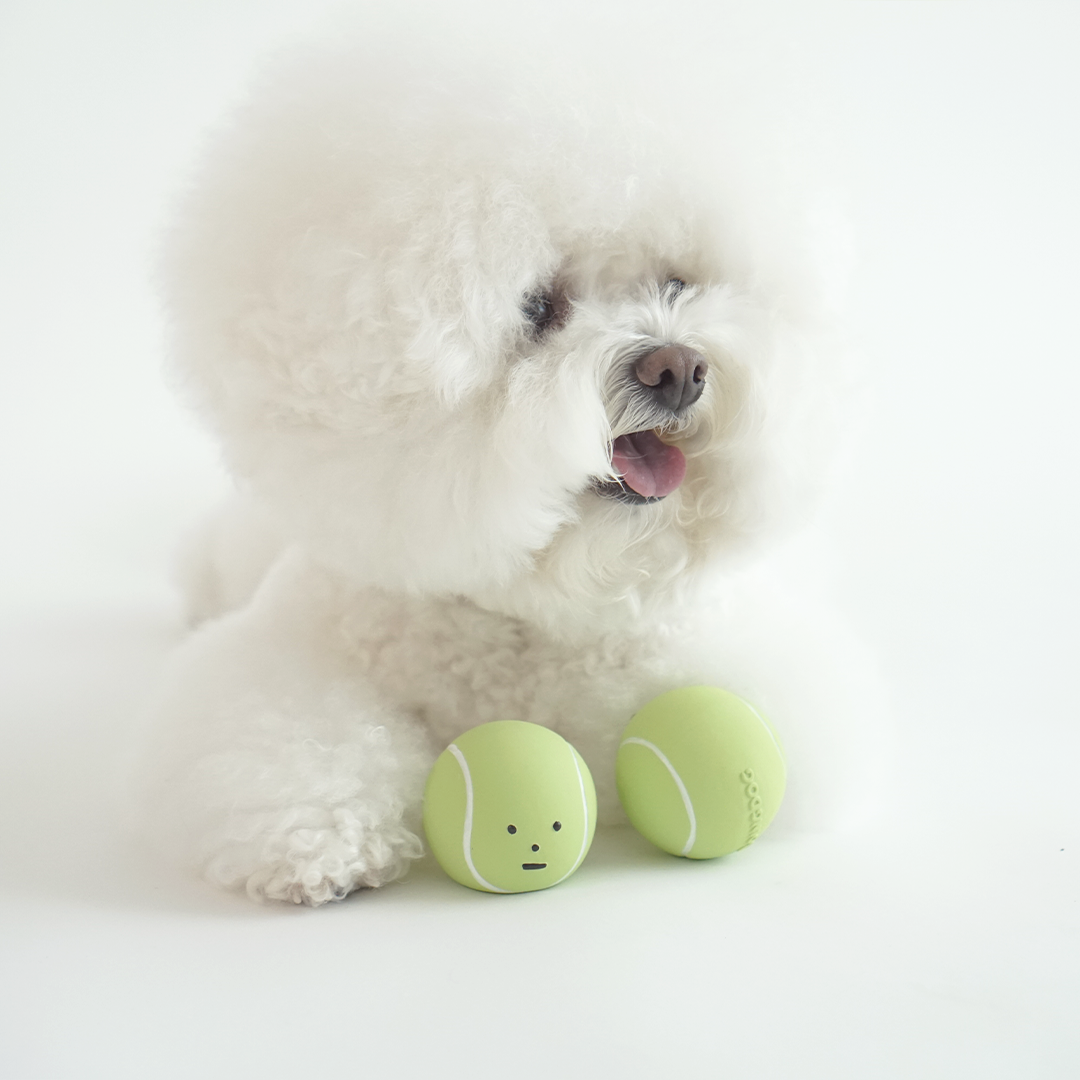 DINGDOG 網球橡膠哺啾玩具
