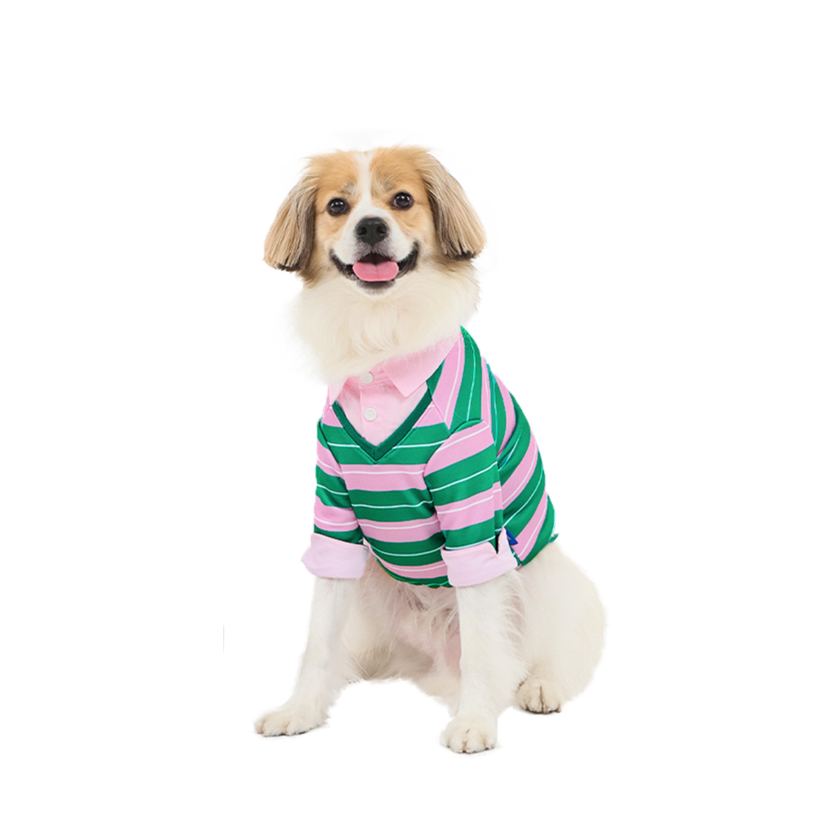 OKTK Preppy Layered 條紋Polo衫