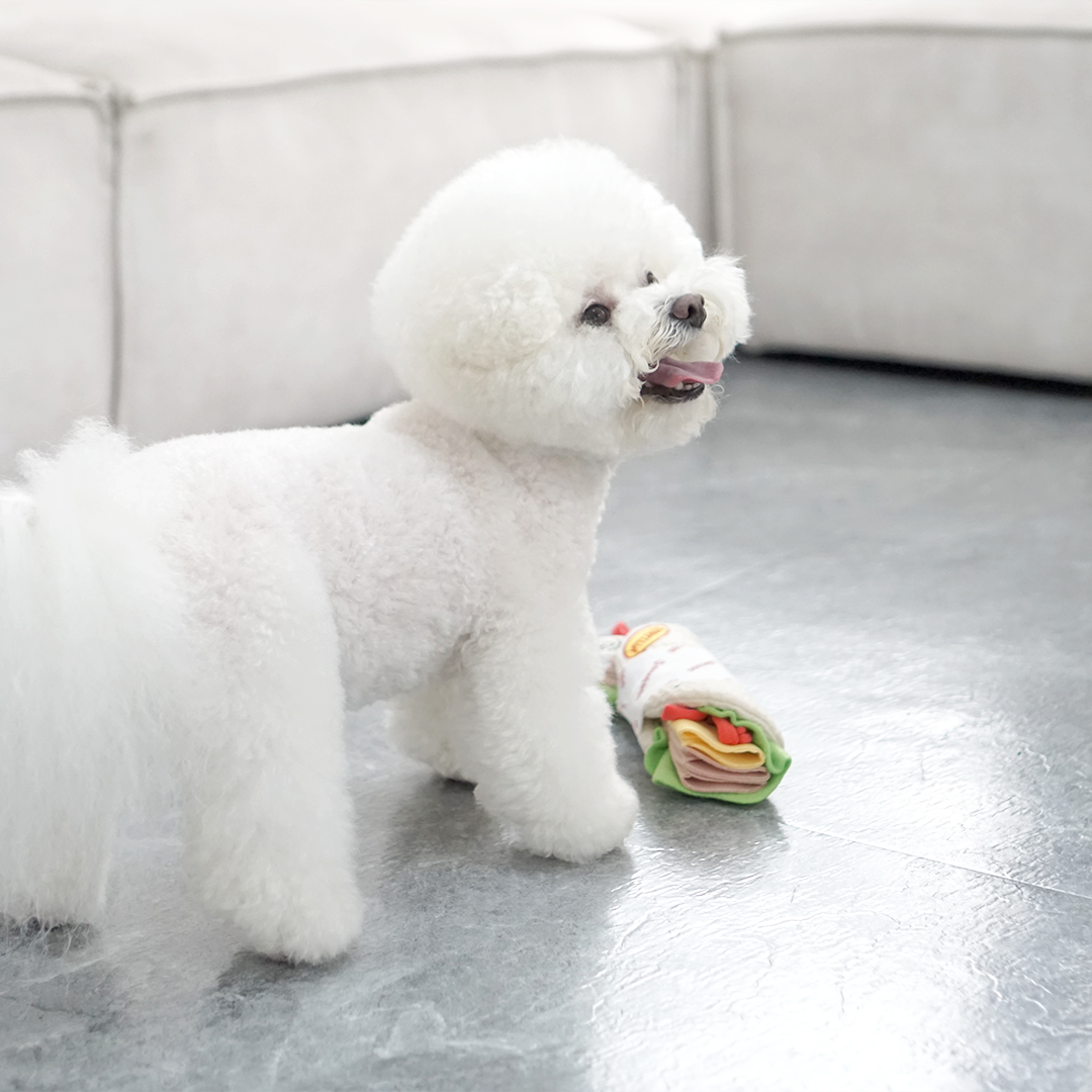 DingDog 捲餅藏食玩具