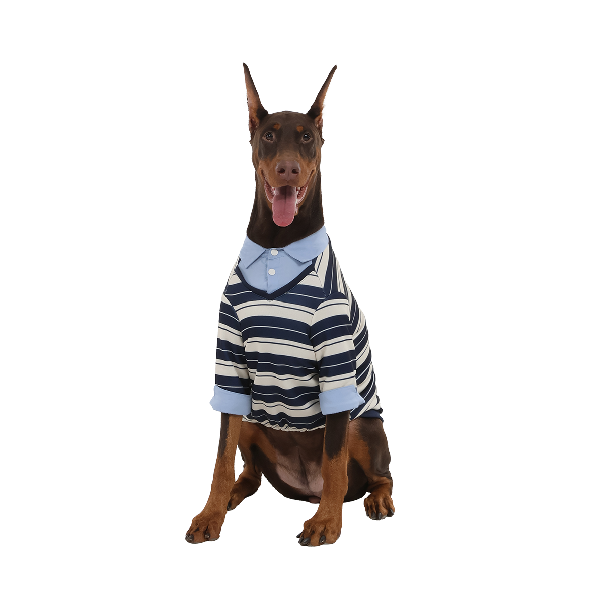 OKTK Preppy Layered 條紋Polo衫