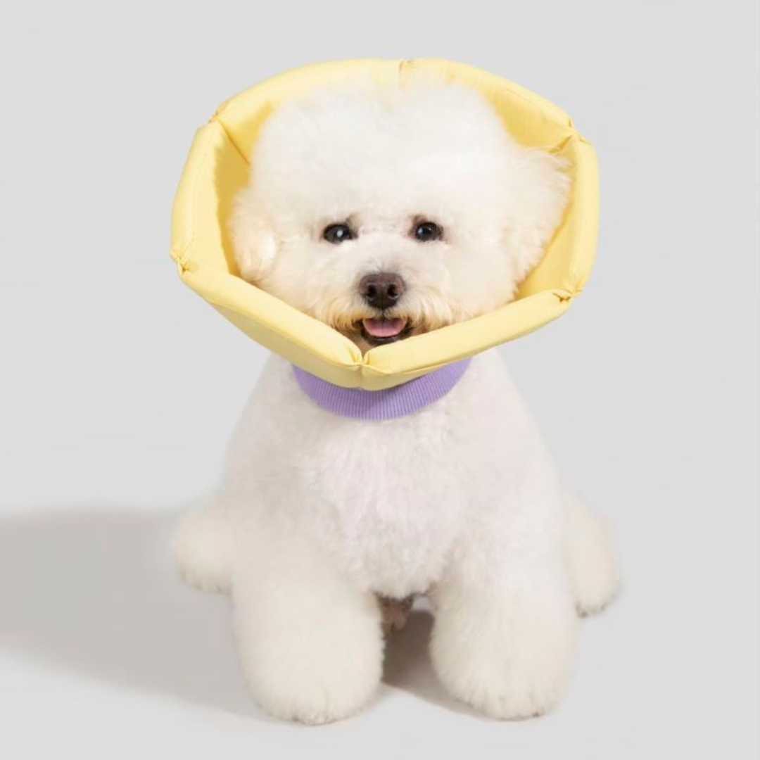 安全包覆,錐形伊莉莎白圈