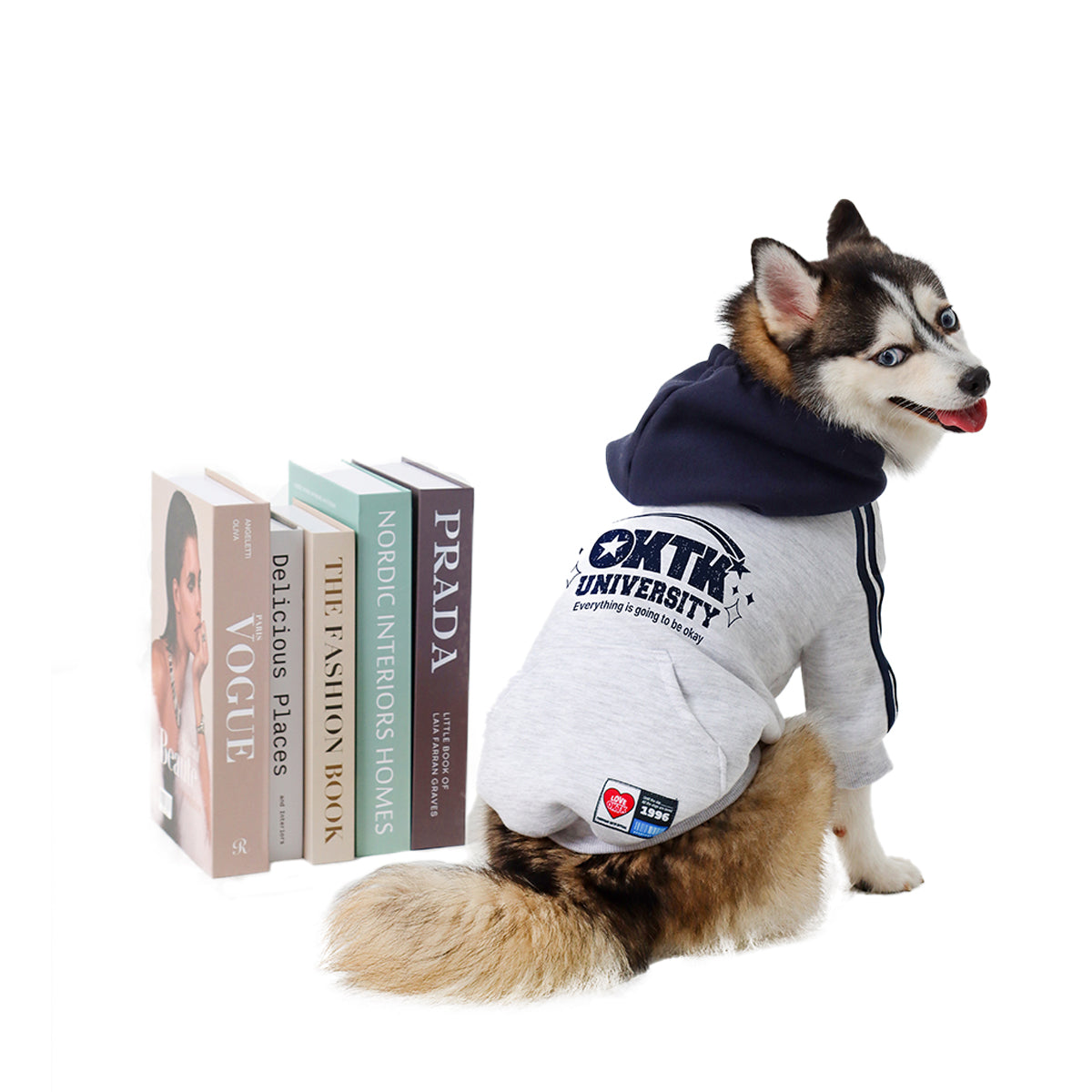 OKTK Shootingstar heating hoodie 流星帽踢