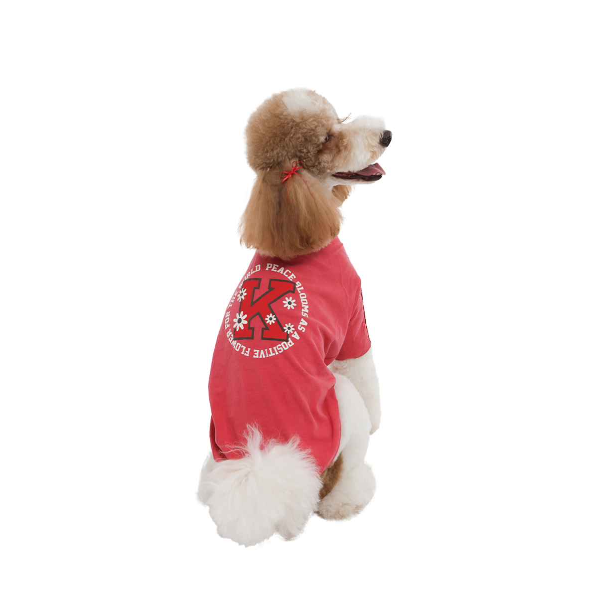 OKTK Ballercore 蕾絲花花大學踢