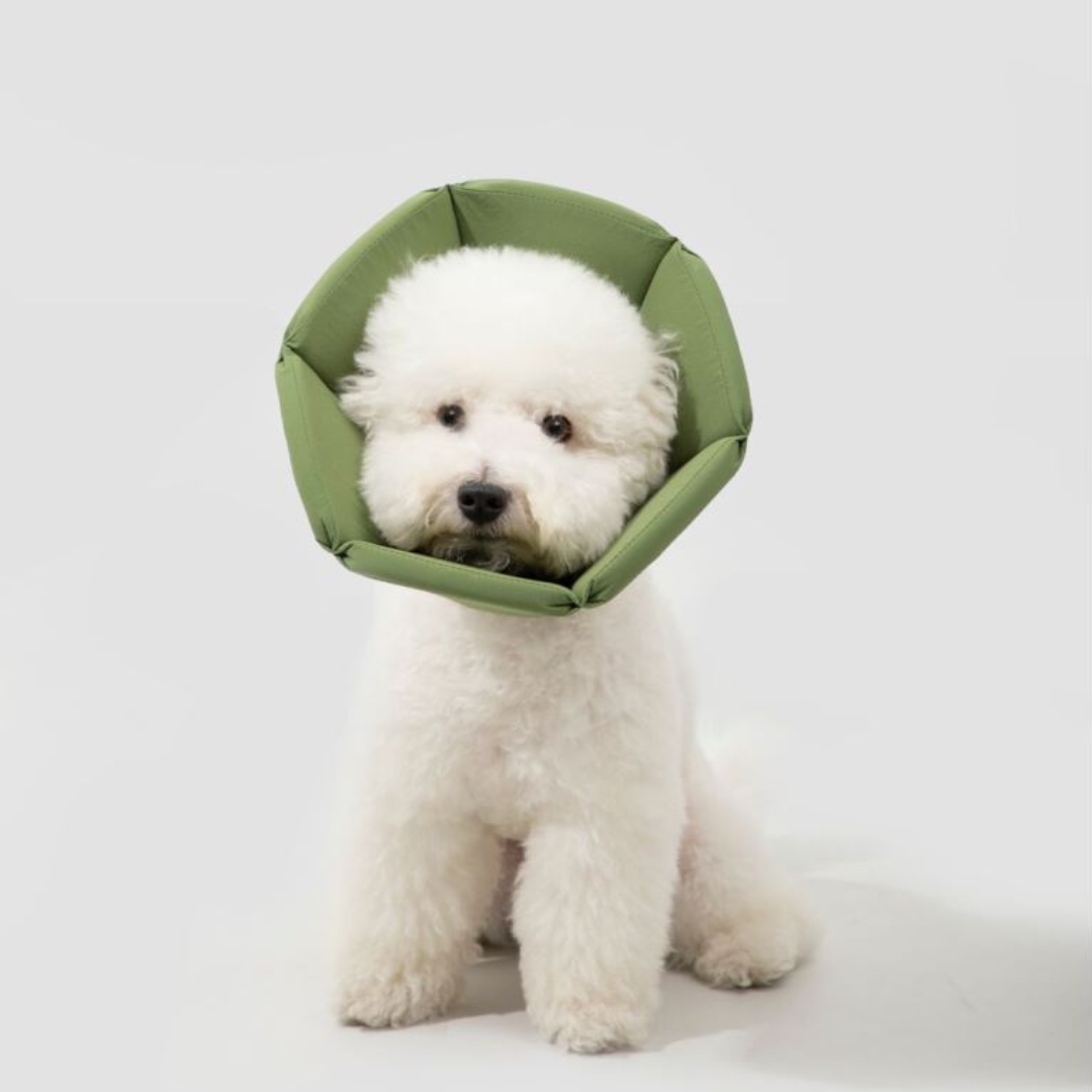 安全包覆,錐形伊莉莎白圈