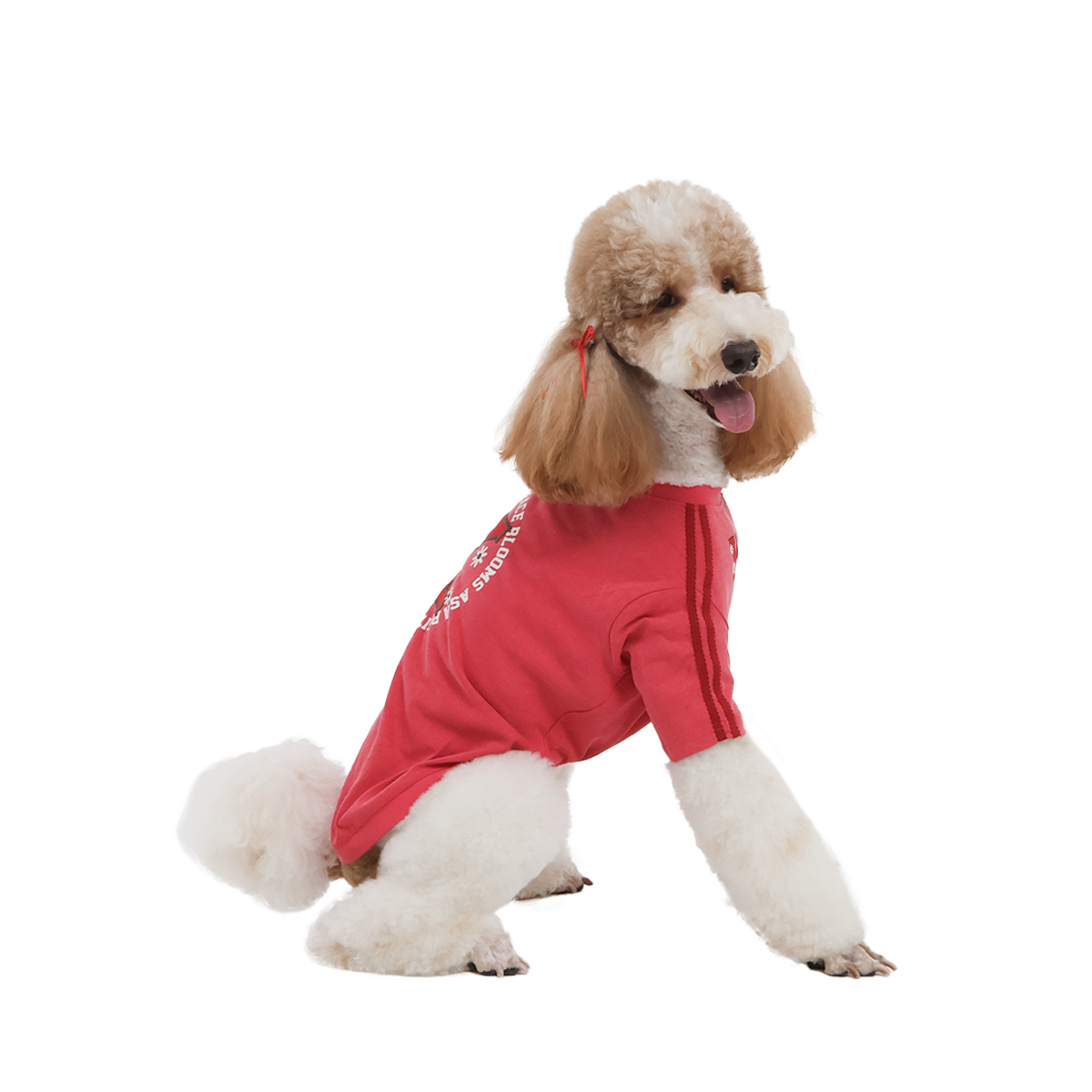 OKTK Ballercore 蕾絲花花大學踢