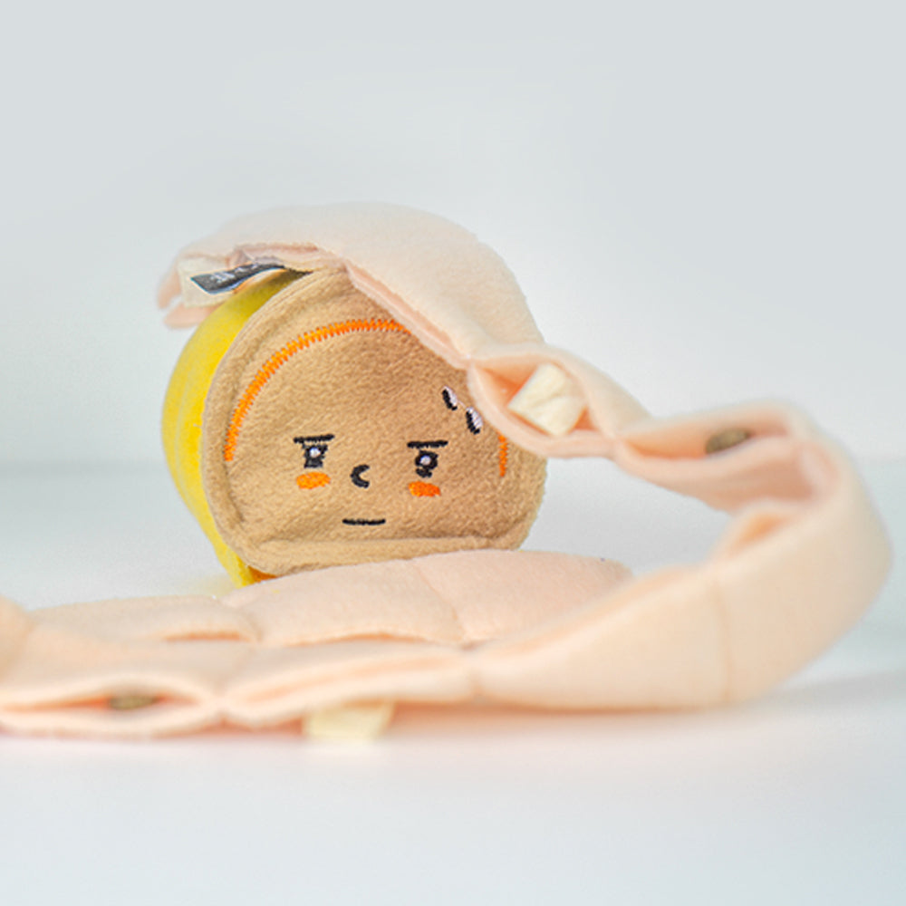 Dingdog 鮪魚罐頭藏食玩具