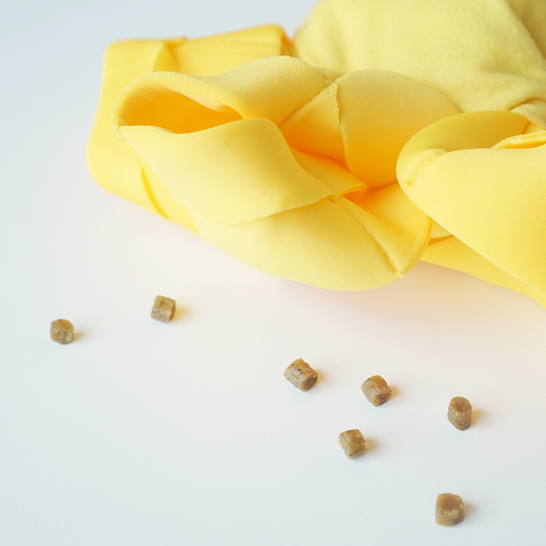 DingDog 薯條藏食玩具