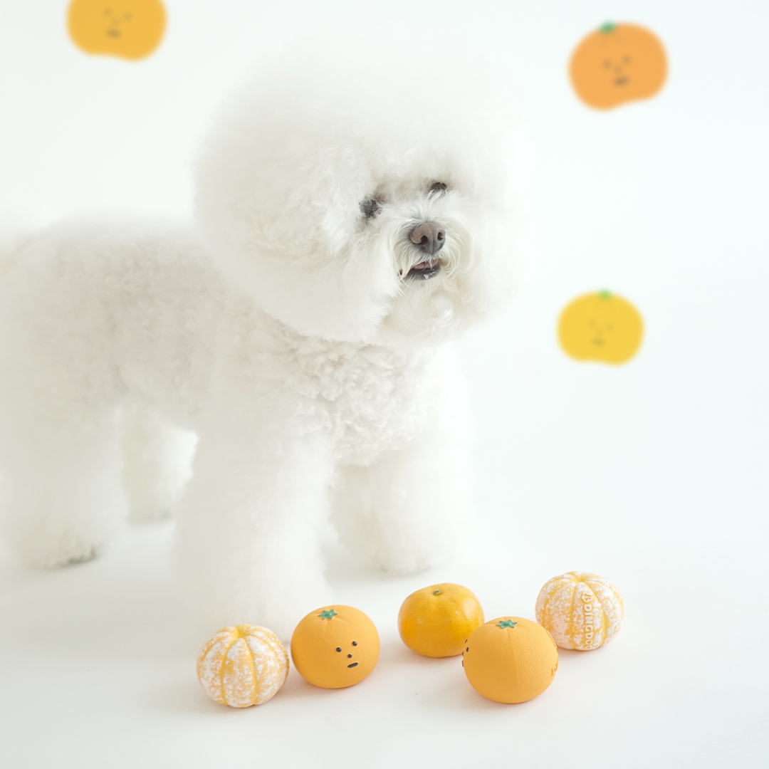 DINGDOG 橘子橡膠哺啾玩具