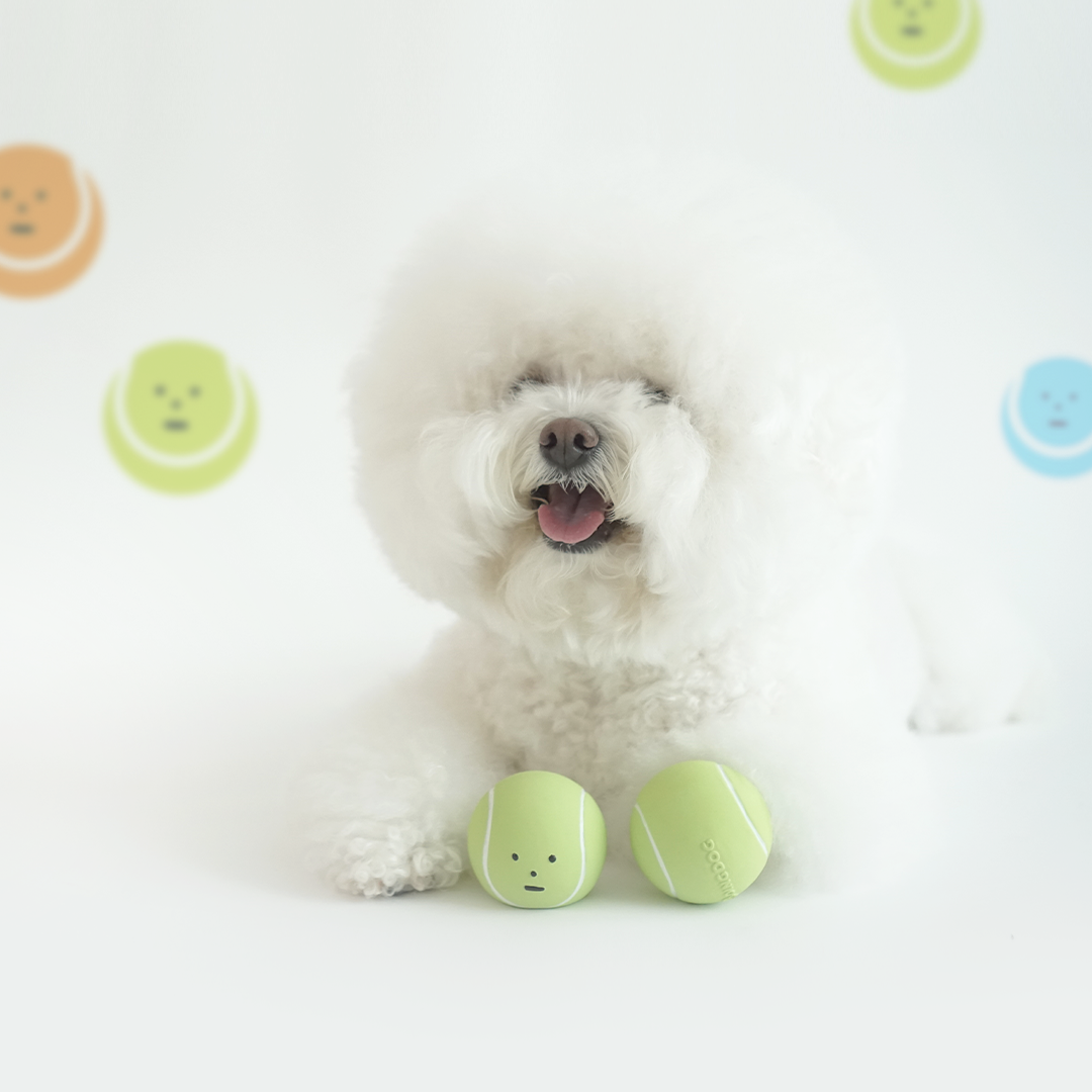 DINGDOG 網球橡膠哺啾玩具