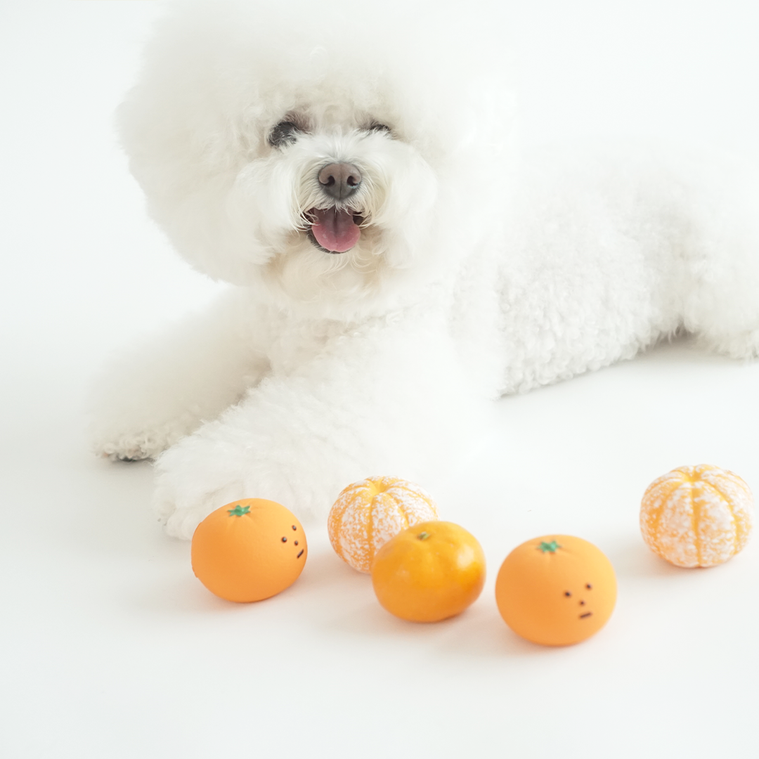 DINGDOG 橘子橡膠哺啾玩具