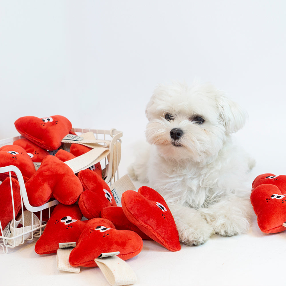 DINGDOG 愛心哺啾 微型拉扯玩具