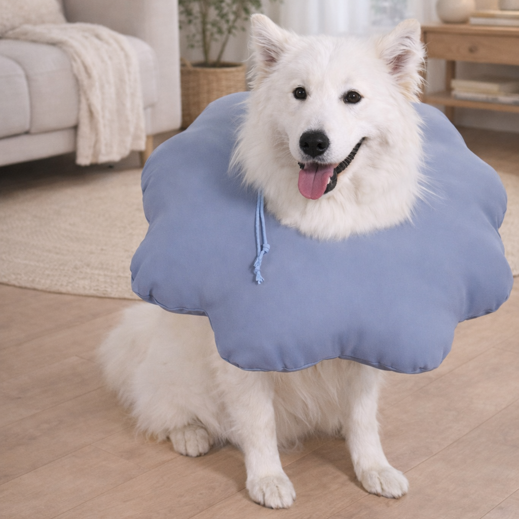 毛孩的枕頭，軟軟伊莉莎白圈-大型寵物