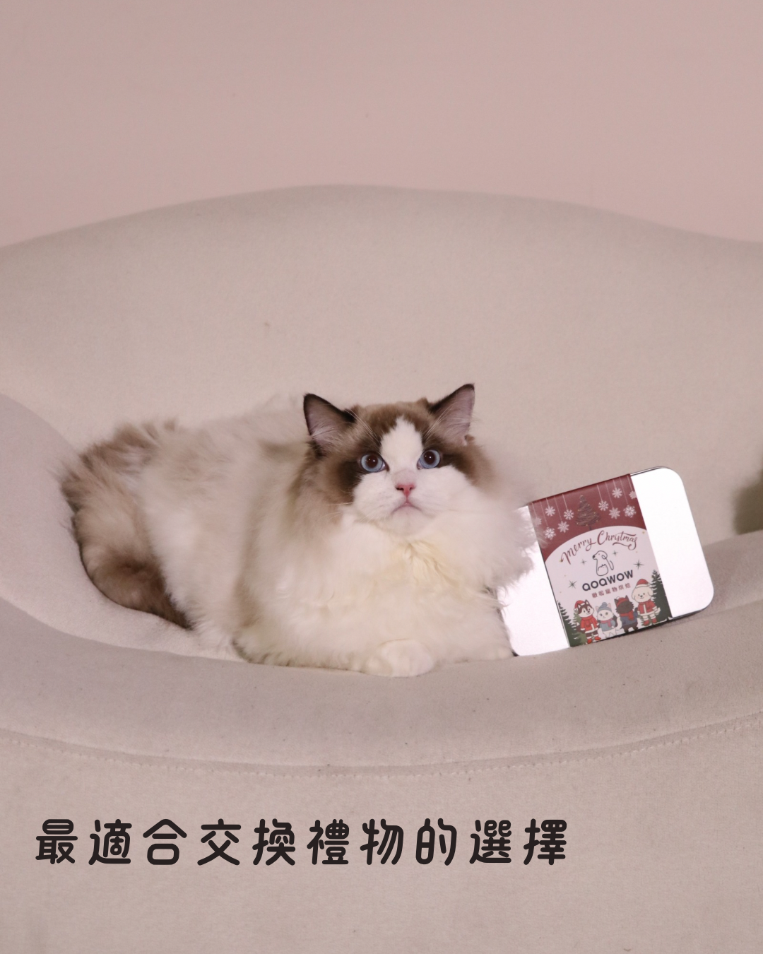 聖誕禮盒｜鐵盒+雙零食組合